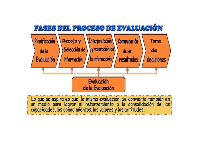 Organizador Grafico Etapas De La Evaluacion