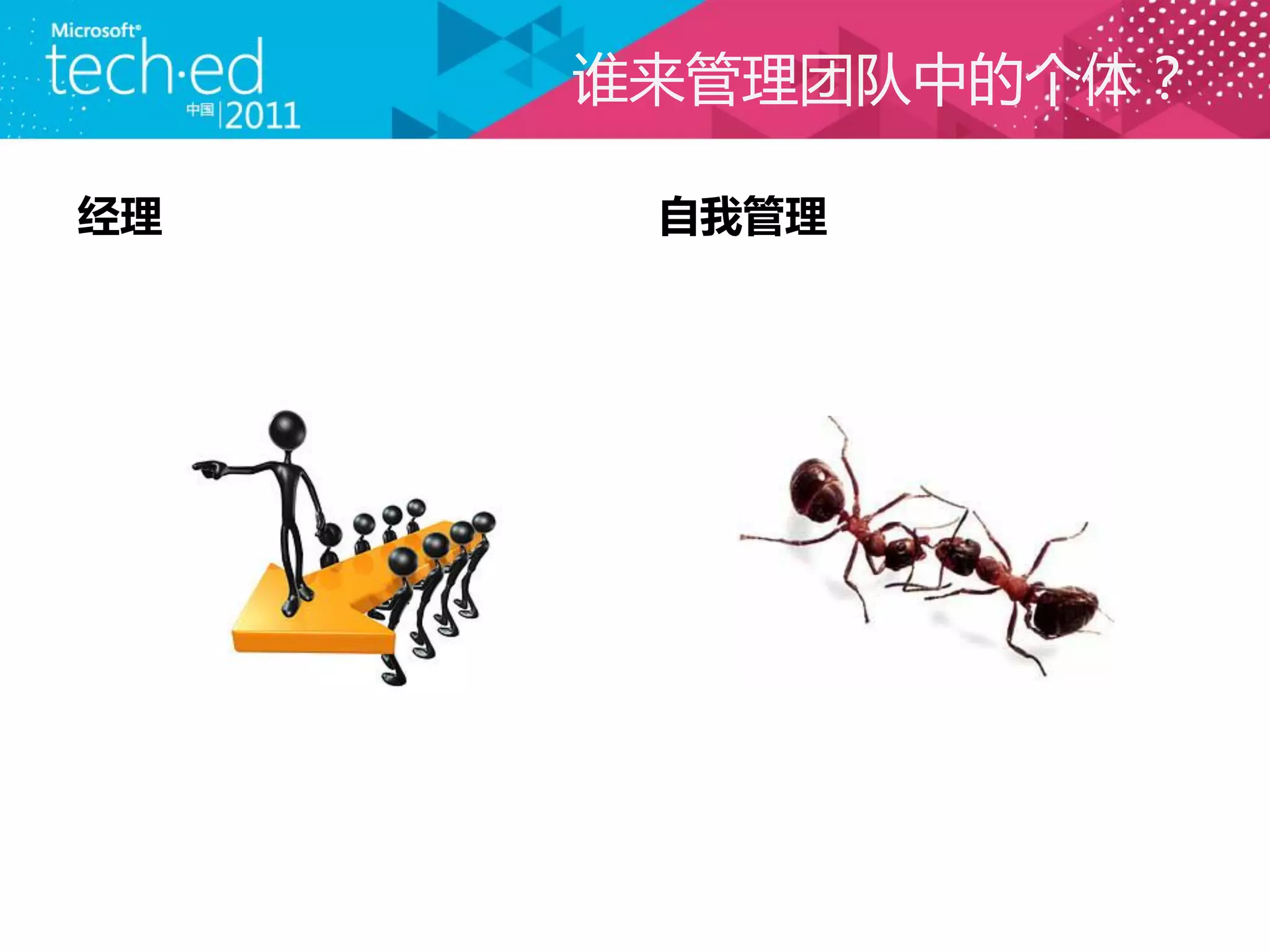 谁来管理团队中的个体？

经理    自我管理
 