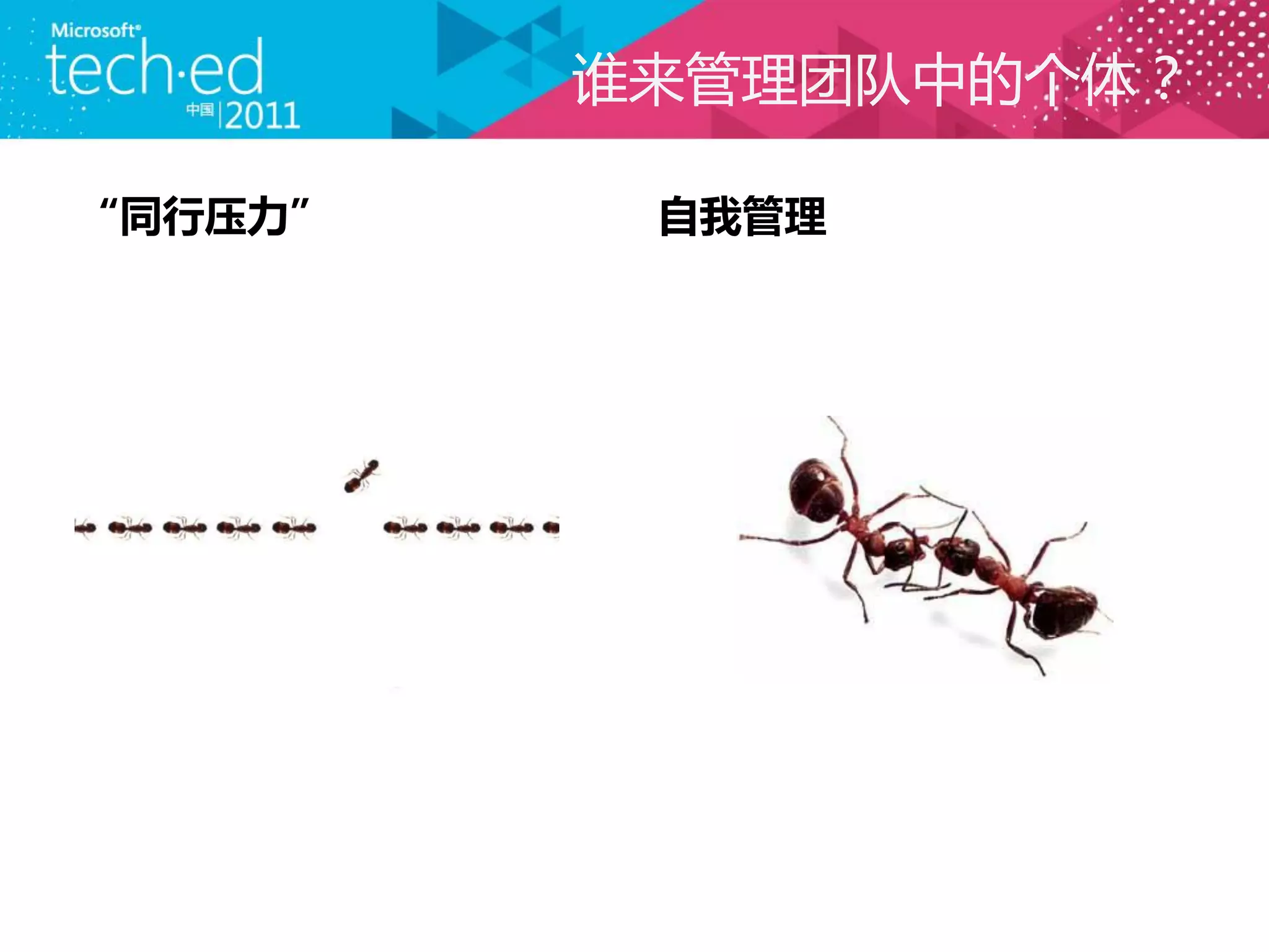 谁来管理团队中的个体？

“同行压力”    自我管理
 