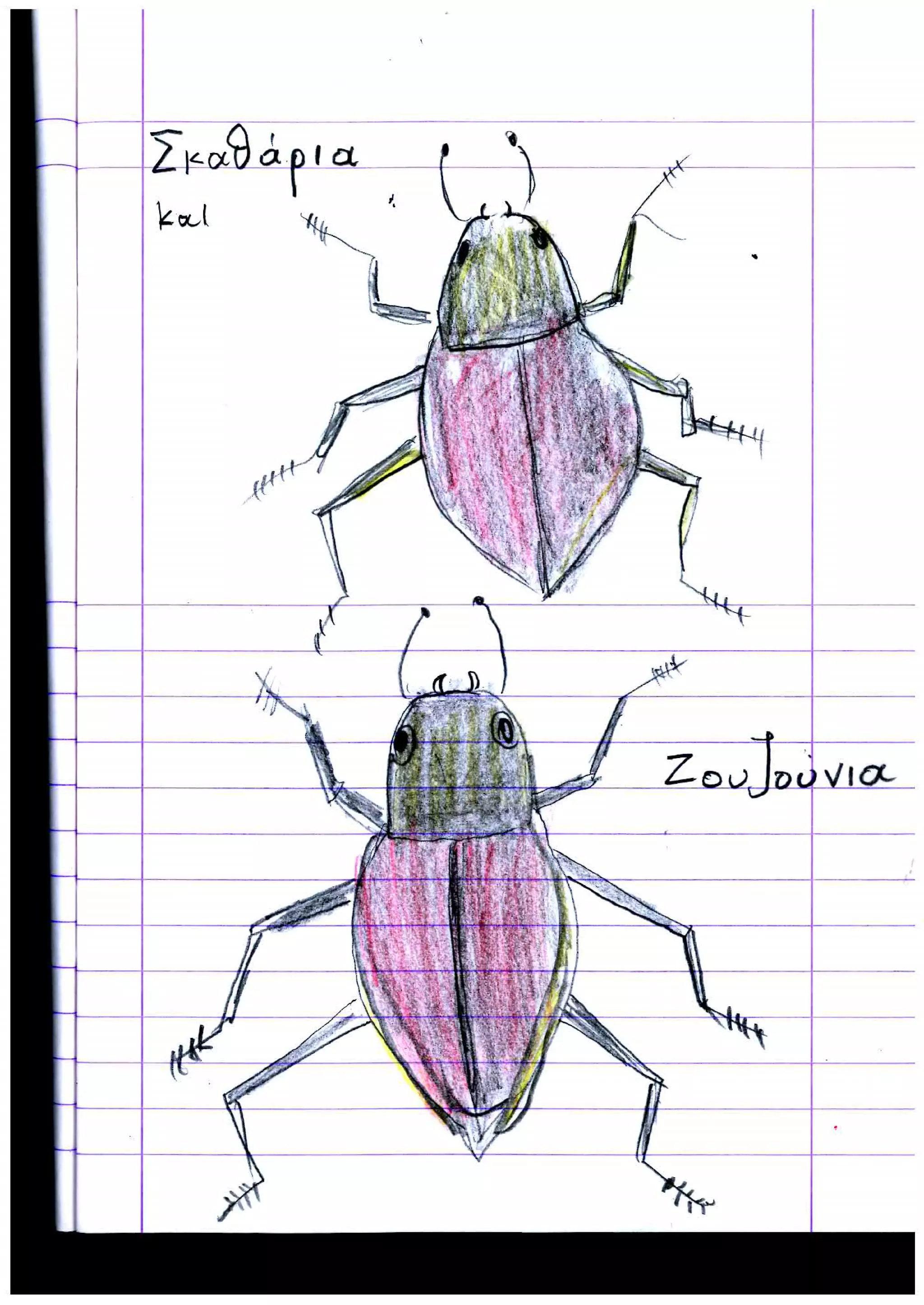 Εντυπώσεις μαθητών από Σχολείο Ελιάς