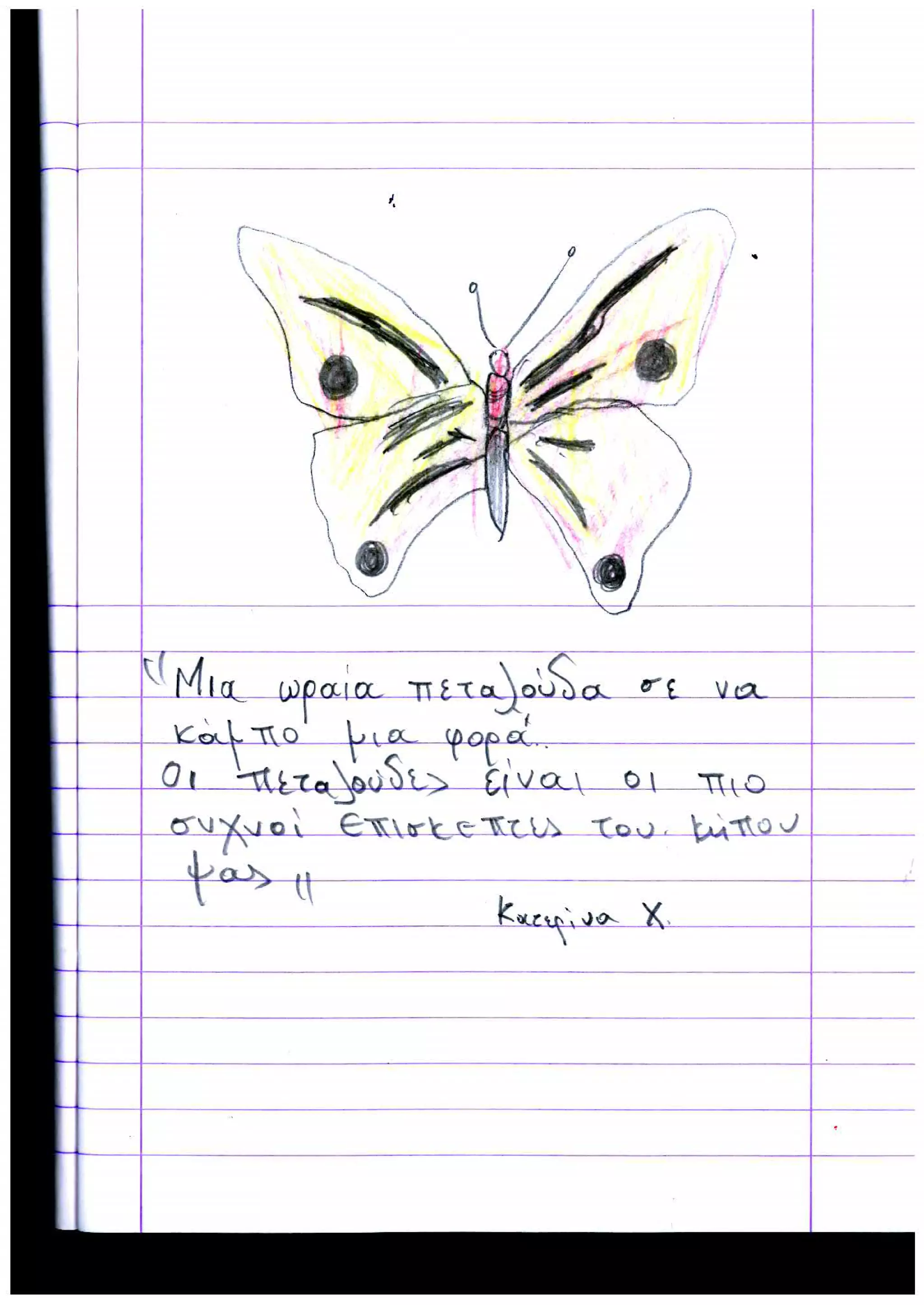 Εντυπώσεις μαθητών από Σχολείο Ελιάς