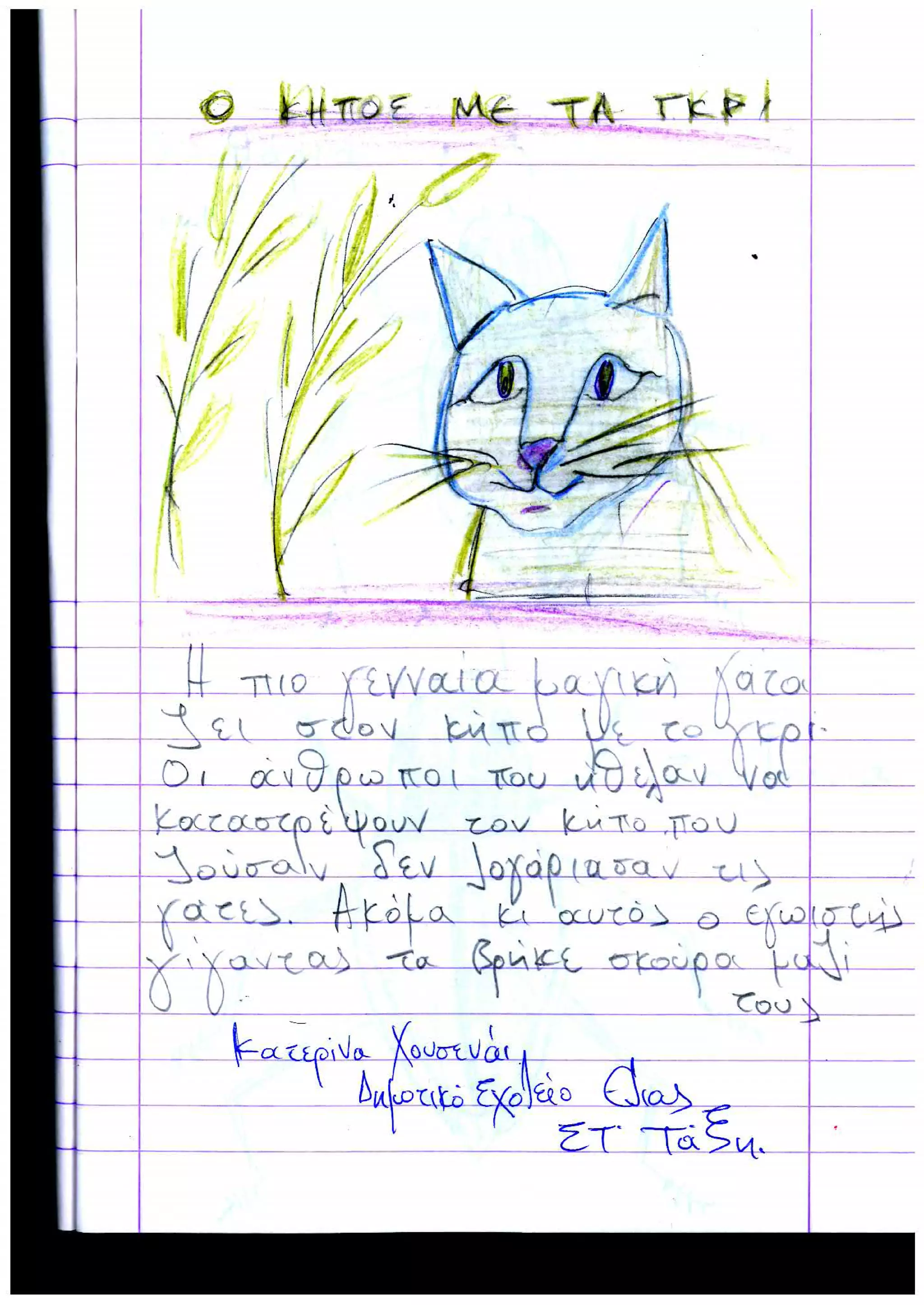 Εντυπώσεις μαθητών από Σχολείο Ελιάς