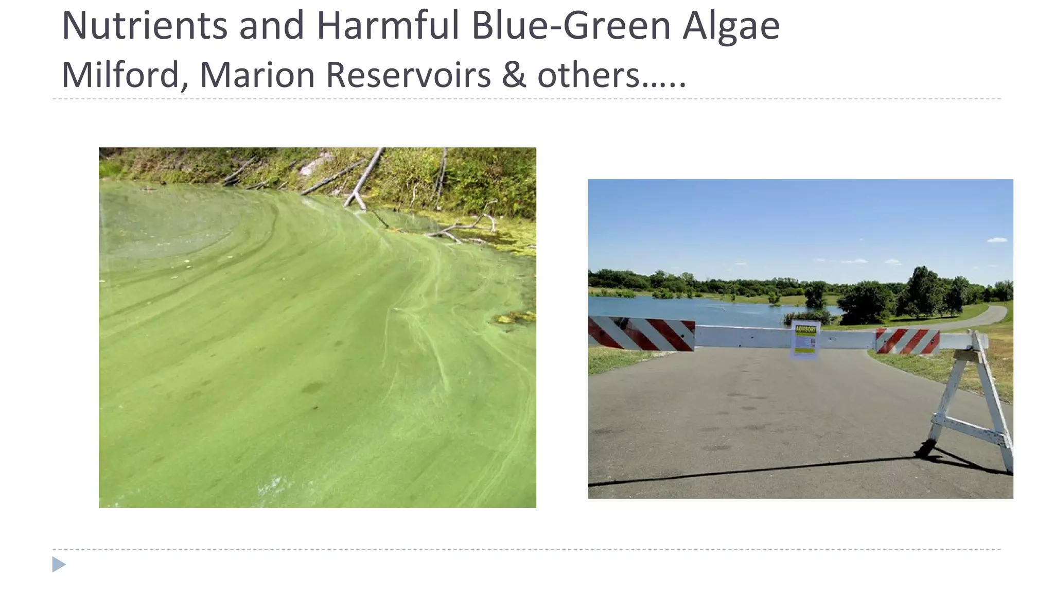 Nutrients and Harmful Blue-Green Algae
Milford, Marion Reservoirs & others…..
 