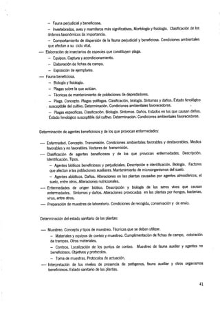 PRODUCCIÓN AGROECOLÓGICA