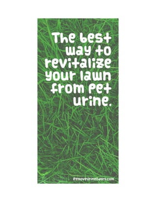 The best way to revitalize your lawn from pet urine