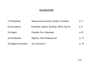 SOMMAIRE



(1) Préambule            Ressources Humaines, Emploi, Formation         p. 3

(2) Les acteurs          Entreprise, Salarié, Syndicat, OPCA, Op For    p. 6

(3) Argent               Fiscalité, Flux, Dépenses                      p.12

(4) Certification        Diplôme, Titre Professionnel                   p. 17

(5) Stage de formation   Où, Comment ?                                  p. 18




                                                                       2/19
 