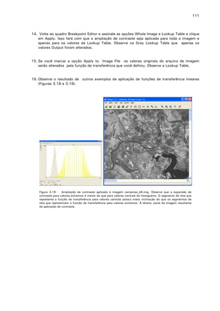 111

14. Volte ao quadro Breakpoint Editor e assinale as opções Whole Image e Lookup Table e clique
em Apply. Isso fará com que a ampliação de contraste seja aplicada para toda a imagem e
apenas para os valores da Lookup Table. Observe na Gray Lookup Table que apenas os
valores Output foram alterados.
15. Se você marcar a opção Apply to Image File os valores originais do arquivo de imagem
serão alterados pela função de transferência que você definiu. Observe a Lookup Table.
16. Observe o resultado de outros exemplos de aplicação de funções de transferência lineares
(Figuras 3.18 e 3.19).

Figura 3.18 - Ampliação de contraste aplicado à imagem campinas_b8.img. Observe que a expansão de
contraste para valores extremos é menor do que para valores centrais do histograma. O segmento de reta que
representa a função de transferência para valores centrais possui maior inclinação do que os segmentos de
reta que representam a função de transferência para valores extremos. À direita, parte da imagem resultante
da aplicação de contraste.

 
