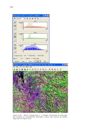 116

Figura 3.23 – Novos histogramas e a imagem resultantes da aplicação
das funções de transferência definidas a partir dos pontos de quebra
sugeridos na Figura 3.22.

 