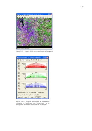 119

Figura 3.25 – Imagem obtida com a equalização de histograma

Figura 3.26 - Gráficos das funções de transferência
utilizadas na equalização dos histogramas
e os
histogramas resultantes da aplicação da equalização.

 