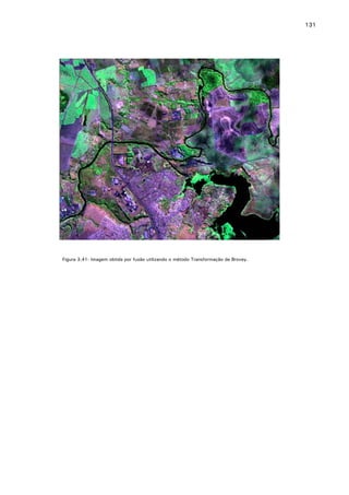131

Figura 3.41- Imagem obtida por fusão utilizando o método Transformação de Brovey.

 