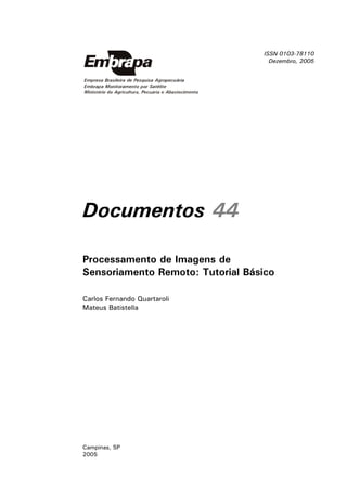 ISSN 0103-78110
Dezembro, 2005

Documentos 44
Processamento de Imagens de
Sensoriamento Remoto: Tutorial Básico
Carlos Fernando Quartaroli
Mateus Batistella

Campinas, SP
2005

 