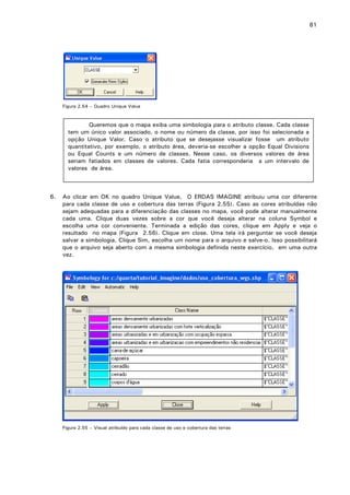 81

Figura 2.54 – Quadro Unique Value

Queremos que o mapa exiba uma simbologia para o atributo classe. Cada classe
tem um único valor associado, o nome ou número da classe, por isso foi selecionada a
opção Unique Valor. Caso o atributo que se desejasse visualizar fosse um atributo
quantitativo, por exemplo, o atributo área, deveria-se escolher a opção Equal Divisions
ou Equal Counts e um número de classes. Nesse caso, os diversos valores de área
seriam fatiados em classes de valores. Cada fatia corresponderia a um intervalo de
valores de área.

6.

Ao clicar em OK no quadro Unique Value, O ERDAS IMAGINE atribuiu uma cor diferente
para cada classe de uso e cobertura das terras (Figura 2.55). Caso as cores atribuídas não
sejam adequadas para a diferenciação das classes no mapa, você pode alterar manualmente
cada uma. Clique duas vezes sobre a cor que você deseja alterar na coluna Symbol e
escolha uma cor conveniente. Terminada a edição das cores, clique em Apply e veja o
resultado no mapa (Figura 2.56). Clique em close. Uma tela irá perguntar se você deseja
salvar a simbologia. Clique Sim, escolha um nome para o arquivo e salve-o. Isso possibilitará
que o arquivo seja aberto com a mesma simbologia definida neste exercício, em uma outra
vez.

Figura 2.55 – Visual atribuído para cada classe de uso e cobertura das terras

 
