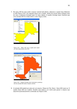 85

7. No menu AOI do visor onde o arquivo vetorial está aberto, selecione a opção Copy Selection
to AOI (Figura 2.61). Em seguida clique com o botão direito do mouse sobre qualquer área
do visor e selecione Arrange Layer no menu aberto. O quadro Arrange Layer mostrará que
uma camada AOI foi criada sobre o vetor (Figura 2.62).

Figura 2.61 – Menu AOI com a opção para copiar
um vetor selecionado como AOI.

Figura 2.62 – Quadro Arrange Layer mostrando a presença
de uma camada AOI sobre o arquivo vetorial

8. A camada AOI poderá ser salva em um arquivo. Clique em File |Save | Save AOI Layer as. O
quadro Save AOI as é aberto. Escolha uma pasta e um nome para gravar o arquivo que
assumirá automaticamente a extensão aoi (Figura 2.63).

 