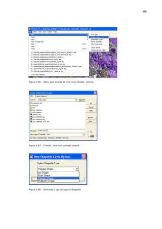 89

Figura 2.66 - Menu para criação de uma nova camada vetorial.

Figura 2.67 – Criando uma nova camada vetorial

Figura 2.68 – Definindo o tipo de arquivo Shapefile

 