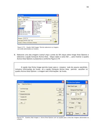 93

Figura 2.73 – Quadro Add Images. Permite selecionar as imagens
que serão adicionadas ao mosaico.

8. Selecione uma das imagens (camp1.img) e antes do OK clique sobre Image Area Options e
selecione a opção Compute Active Area. Clique sobre a caixa Set ... para mostrar o quadro
Active Area Options e preencha-o conforme Figura 2.74

A opção Use Entire Image permite trazer para o mosaico tudo do arquivo escolhido,
inclusive informações do fundo. Já a opção Compute Active Area permite escolher no
quadro Active Area Options a imagem sem informações de fundo.

Figura2.74
mosaico.

Quadros Add Images e Active Area Options com as opções para a área das imagens adicionadas ao

 