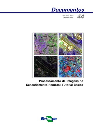 Documentos
44
ISSN 0103-78110
Dezembro, 2005

Processamento de Imagens de
Sensoriamento Remoto: Tutorial Básico

 