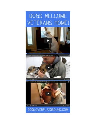 Dogs Welcome Veterans Home!