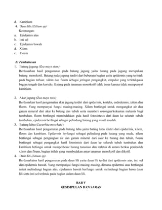 d. Kambium
4. Daun lili (lLilium sp)
Keterangan:
a. Epidermis atas
b. Inti sel
c. Epidermis bawah
d. Xilem
e. Floem
B. Pembahasan
1. Batang jagung (Zea mays stem)
Berdasarkan hasil pengamatan pada batang jagung yaitu batang pada jagung merupakan
batang monokotil. Batang pada jagung terdiri dari beberapa bagian yaitu epidermis yang terletak
pada bagian terluar, xilem dan floem sebagai jeringan pengangkut, empulur yang terletakpada
bagian tengah dan korteks. Batang pada tanaman monokotil tidak besar karena tidak mempunyai
kambium.
2. Akar jagung (Zea mays root)
Berdasarkan hasil pengamatan akar jagung terdiri dari epidermis, korteks, endodermis, xilem dan
floem. Yang mempunyai fungsi masing-masing. Xilem berfungsi untuk mengangkut air dan
garam mineral dari akar ke batang dan tubuh serta memberi sokongan/kekuatan mekanis bagi
tumbuhan, floem berfungsi memindahkan gula hasil fotosintesis dari daun ke seluruh tubuh
tumbuhan, epidermis berfingsi sebagai pelindung batang yang masih mudah.
3. Batang labu (Cucurbita moschata)
Berdasarkan hasil pengamatan pada batang labu yaitu batang labu terdiri dari epidermis, xilem,
floem dan kambium. Epidermis berfungsi sebagai pelindung pada batang yang muda, xilem
berfungsi sebagai pengangkut air dan garam mineral dari akar ke batang dan tubuh, floem
berfungsi sebagai pengangkut hasil fotosintsis dari daun ke seluruh tubuh tumbuhan dan
kambium befungsi untuk memperbesar batang tanaman dan terletak di antara berkas pembuluh
xilem dan floem, bagian inilah yang membedakan antar tanaman monokotil dan dikotil.
4. Daun lili (Lilium sp)
Berdasarkaisn hasil pengamatan pada daun lili yaitu daun lili terdiri dari epidermis atas, inti sel
dan epidermis bawah. Yang mempunyai fungsi masing-masing, dimana epidermsi atas berfungsi
untuk melindungi bagian atas, epidermis bawah berfungsi untuk melindungi bagian bawa daun
lili serta inti sel terletak pada bagian dalam daun lili.
BAB V
KESIMPULAN DAN SARAN

 