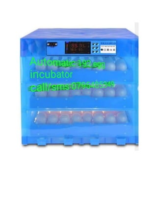 Automatic egg  incubators