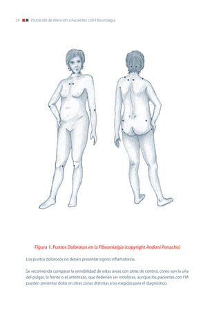 24      Protocolo de Atención a Pacientes con Fibromialgia




         Figura 1. Puntos Dolorosos en la Fibromialgia (copyright Andoni Penacho)

     Los puntos dolorosos no deben presentar signos inflamatorios.


     Se recomienda comparar la sensibilidad de estas áreas con otras de control, como son la uña
     del pulgar, la frente o el antebrazo, que deberían ser indoloras, aunque los pacientes con FM
     pueden presentar dolor en otras zonas distintas a las exigidas para el diagnóstico.
 
