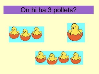 On hi ha 3 pollets? 