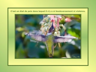 C’est un état de paix dans lequel il n’y a ni bouleversement ni violence.