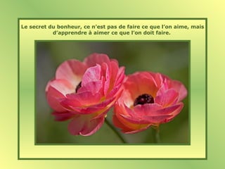 Le secret du bonheur, ce n’est pas de faire ce que l’on aime, mais
d’apprendre à aimer ce que l’on doit faire.