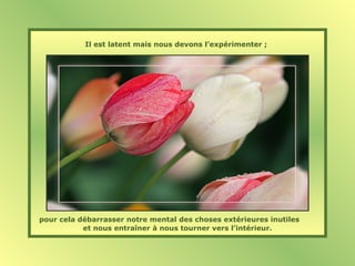 Il est latent mais nous devons l’expérimenter ;
pour cela débarrasser notre mental des choses extérieures inutiles
et nous entraîner à nous tourner vers l’intérieur.