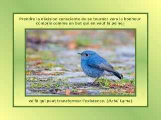 Prendre la décision consciente de se tourner vers le bonheur
compris comme un but qui en vaut la peine,
voilà qui peut transformer l’existence. (Dalaï Lama)