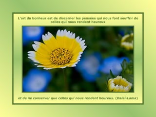 L'art du bonheur est de discerner les pensées qui nous font souffrir de
celles qui nous rendent heureux
et de ne conserver que celles qui nous rendent heureux. (Dalaï-Lama)