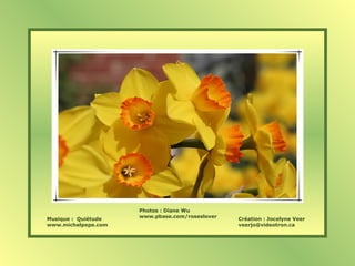 Photos : Diane Wu
www.pbase.com/roseslover
Musique : Quiétude Création : Jocelyne Veer
www.michelpepe.com veerjo@videotron.ca