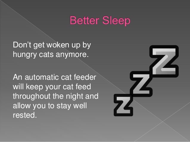 Why Use An Automatic Cat Feeder