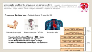 Um coração saudável é a chave para um corpo saudável - o coração é formado basicamente por
músculos. Funciona no nosso organismo como uma bomba, que contrai cerca de 60 a 100 vezes a cada minuto para
impulsionar o sangue. Este por sua vez carrega os nutrientes e o oxigênio até aos órgãos.
Frequência Cardíaca bpm = Pulsação durante 15 segundos X 4
Pulso - Artéria Radial Pescoço - Artéria Carótida Peito - Coração
Frequência Cardíaca Máxima = 220 - idade
FCr - Frequência cardíaca em repouso
FCpe - Frequência Cardíaca pós esforço
FCRec - Frequência Cardíaca pós recuperação
 