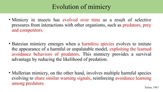 Evolution of mimicry
• Mimicry in insects has evolved over time as a result of selective
pressures from interactions with other organisms, such as predators, prey
and competitors.
• Batesian mimicry emerges when a harmless species evolves to imitate
the appearance of a harmful or unpalatable model, exploiting the learned
avoidance behaviors of predators. This mimicry provides a survival
advantage by reducing the likelihood of predation.
• Mullerian mimicry, on the other hand, involves multiple harmful species
evolving to share similar warning signals, reinforcing avoidance learning
among predators.
Turner, 1987
 