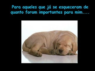 Para aqueles que já se esqueceram de quanto foram importantes para mim.... 