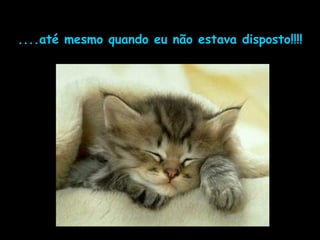 ....até mesmo quando eu não estava disposto!!!! 
