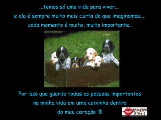 ...temos só uma vida para viver...  e ela é sempre muito mais curta do que imaginamos...  cada momento é muito, muito importante.. Por isso que guardo todas as pessoas importantes na minha vida em uma caixinha dentro  do meu coração !!!! 