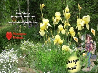 Inês Vieira
Imagens: Internet
inesdedes@gmail.com

 