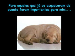 Para aqueles que já se esqueceram de quanto foram importantes para mim.... 