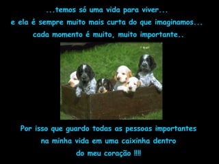 ...temos só uma vida para viver...
e ela é sempre muito mais curta do que imaginamos...
cada momento é muito, muito importante..
Por isso que guardo todas as pessoas importantes
na minha vida em uma caixinha dentro
do meu coração !!!!
 
