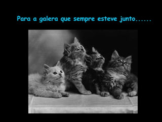 Para a galera que sempre esteve junto......
 