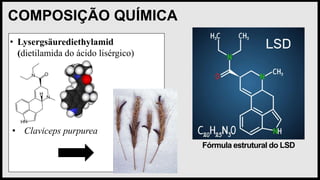 COMPOSIÇÃO QUÍMICA
Fórmula estrutural do LSD
• Lysergsäurediethylamid
(dietilamida do ácido lisérgico)
• Claviceps purpurea
 