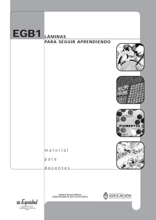 EGB1 
LÁMINAS 
PARA SEGUIR APRENDIENDO 
m a t e r i a l 
p a r a 
d o c e n t e s 
Unidad de Recursos Didácticos 
SUBSECRETARÍA DE EDUCACIÓN BÁSICA 
 