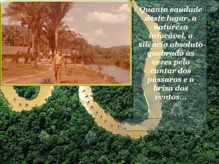 Quanta saudade
deste lugar, a
natureza
intocável, o
silêncio absoluto
quebrado às
vezes pelo
cantar dos
pássaros e a
brisa dos
ventos...
 