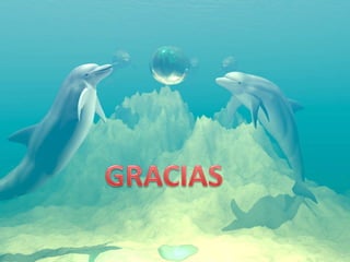 Docencia universitaria eco.mediavilla