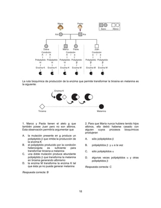 La ruta bioquímica de producción de la enzima que permite transformar la tirosina en melanina es 
la siguiente: 
18 
1. Marco y Paola tienen el alelo a que 
también posee Juan pero no son albinos. 
Esta observación permitiría argumentar que 
A. la mutación presente en a produce un 
polipéptido β que inhibe la producción de 
la enzima K 
B. el polipéptido producido por la condición 
heterocigota es suficiente para 
transformar tirosina a melanina 
C. una doble mutación produce abundante 
polipéptido β que transforma la melanina 
en tirosina generando albinismo 
D. la enzima M transforma la enzima K tal 
que ésta ya no puede generar melanina 
Respuesta correcta: B 
2. Para que María nunca hubiera tenido hijos 
albinos, ella debió haberse casado con 
alguien cuyos procesos bioquímicos 
produjeran 
A. sólo polipéptidos β 
B. polipéptidos β y α a la vez 
C. sólo polipéptidos α 
D. algunas veces polipéptidos α y otras 
polipéptidos β 
Respuesta correcta: C 
 