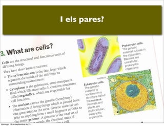 I els pares?

domingo, 15 de septiembre de 13

 