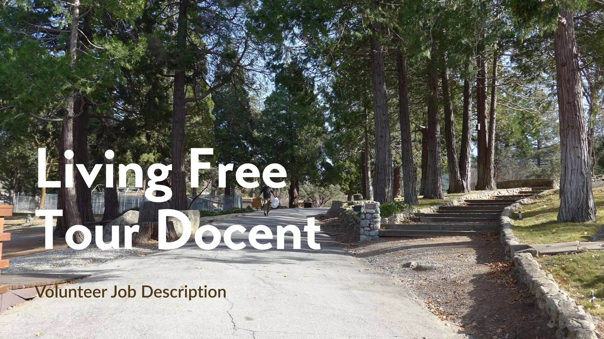 docent-tour-guide-volunteer-description-ppt