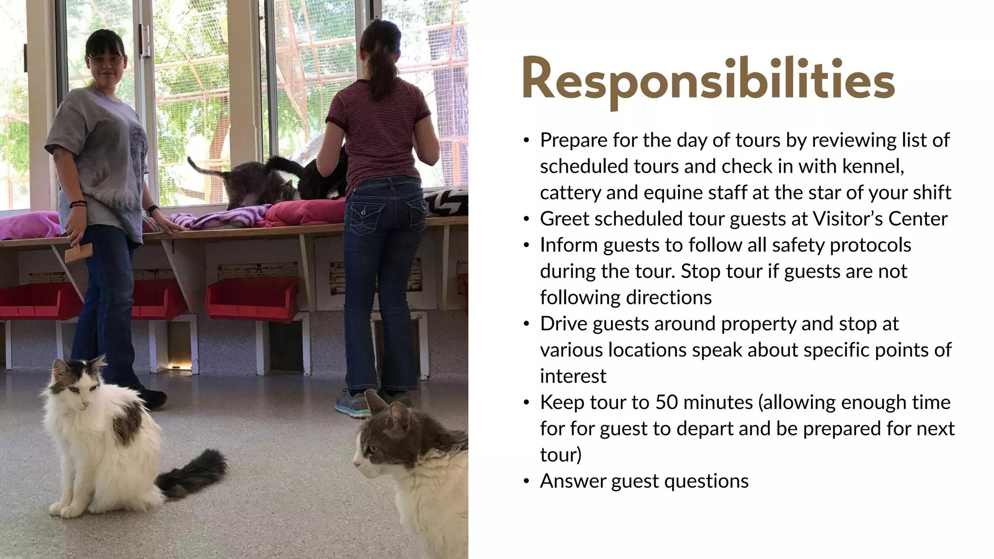 Docent Tour Guide Volunteer Description PPT job-description-generator-ai-assisted-job-posting-creation