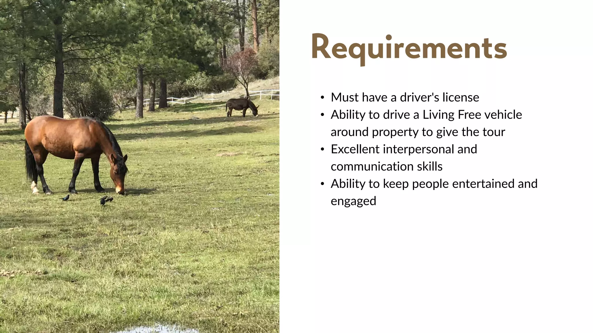 docent-tour-guide-volunteer-description-ppt